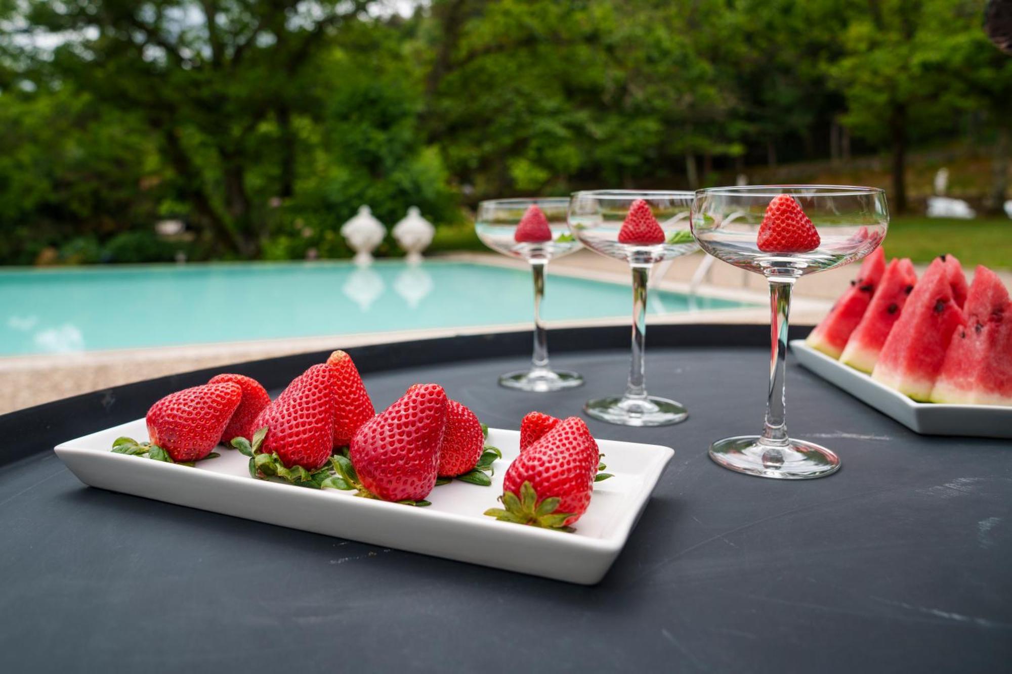 The Fox House - Private Villa & Nature São Pedro do Sul Zewnętrze zdjęcie